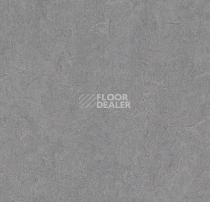 Линолеум Forbo Marmoleum Marbled Authentic 3866 eternity фото 1 | FLOORDEALER